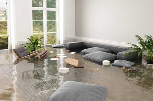 Restoring Normalcy After a Deluge: Practical Advice for Water Damage Recovery