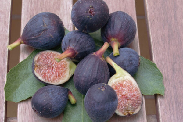 Friday Fig: A Complete Guide to This Delightful Fruit